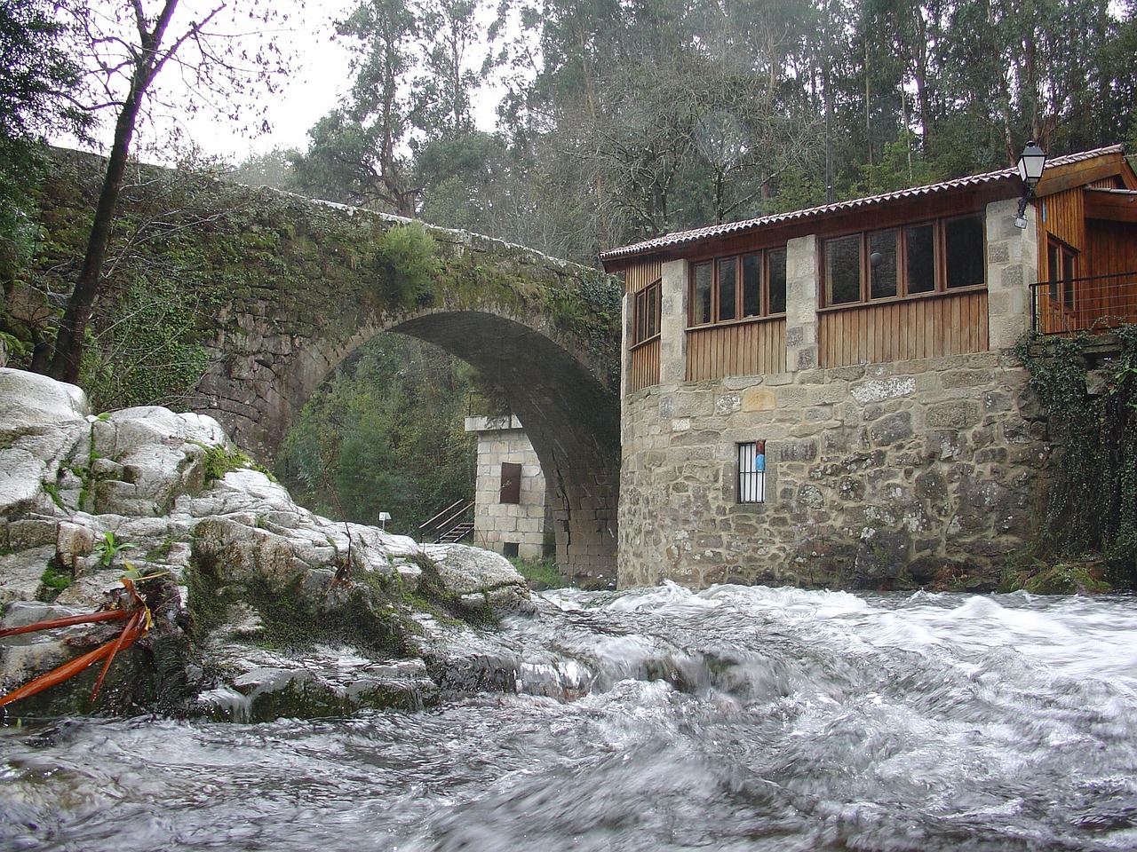 The Watermill at the End of the Lane: How Rural Grain Mills Survived the Industrial Age